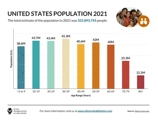 premium  Template: الرسم البياني السكاني الإحصائي البسيط