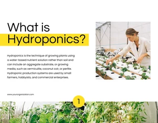 Simple White and Yellow Hydroponic Program Presentation - صفحة 2