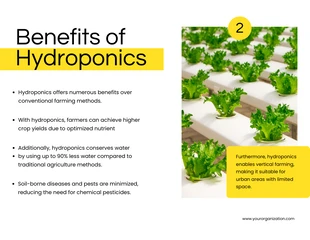 Simple White and Yellow Hydroponic Program Presentation - Pagina 3