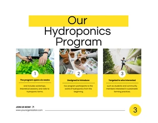 Simple White and Yellow Hydroponic Program Presentation - Página 4