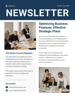 business  Template: Business Finance Strategies Newsletter