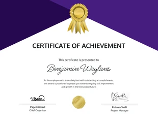 premium  Template: Indigo And Gold Professional Certificate