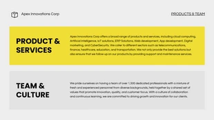 Simple Grey And Yellow Company Presentation - Página 3
