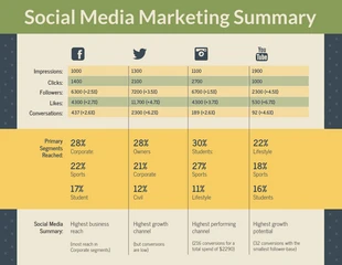 business  Template: Riepilogo del marketing sui social media Infografica_nuova
