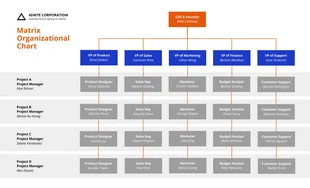 business  Template: Modello di organigramma della matrice di leadership