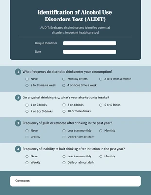 Free  Template: Simple Turquoise Audit Form