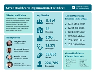 Free and accessible Template: Nonprofit Healthcare Company Fact Sheet
