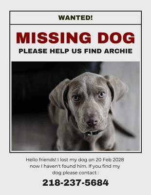 Free  Template: Flyer moderne gris clair pour chien disparu