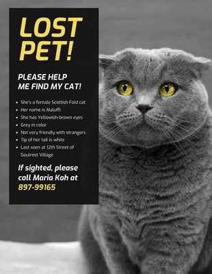 Free  Template: Simple Lost Cat Poster