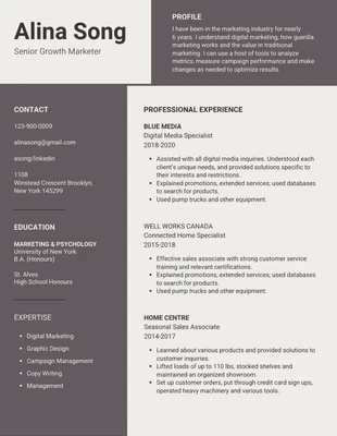 Growth Marketer Simple Resume