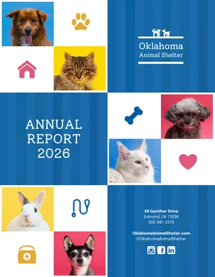 Free  Template: Nonprofit Annual Report Template