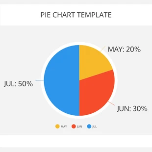 premium  Template: Pie Chart