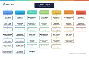 business  Template: Organigramm des Unternehmens