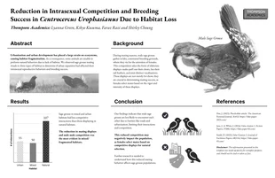 Free  Template: Impact de la perte d'habitat sur la recherche sur la reproduction des oiseaux Poster