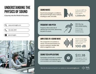 business  Template: Comprender el tipo de sonido: infografía de física