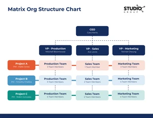 Free  Template: General Matrix Organizational Chart Template