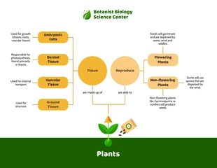premium  Template: Carte conceptuelle de la biologie des plantes légères
