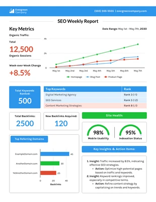 business  Template: SEO Weekly Report Template