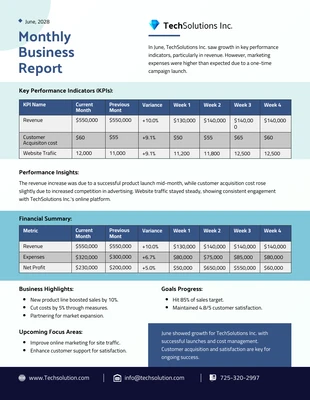 business  Template: Monthly Business Report Template