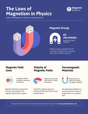 Free  Template: The Laws of Magnetism : Physics Infographic
