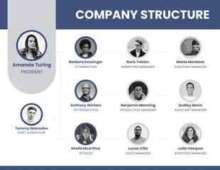 premium  Template: Company Team Structure Organizational Chart