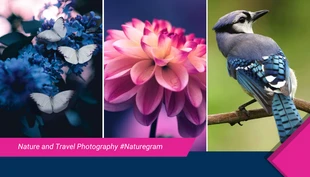 Nature Photographer Business Card - Seite 2
