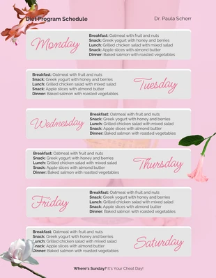 Free  Template: Diet Program Schedule Pink Template
