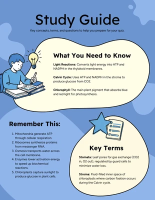 Free Template: Guida allo studio - Dispensa - Infografica