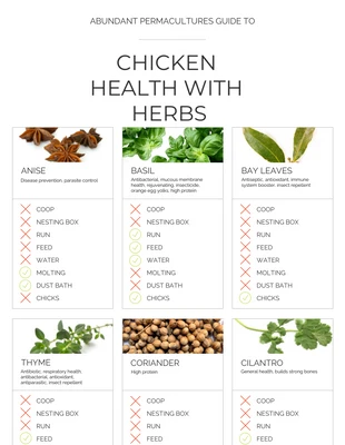 premium  Template: Health with Herbs
