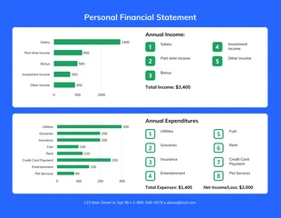 Free  Template: Personal Financial Statement Example