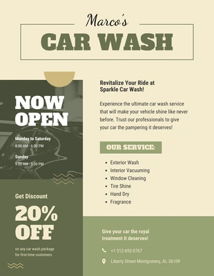 Dark Gold And Green Elegant  Car Wash Poster