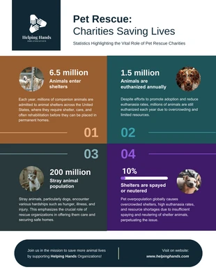 business  Template: Infografica su come gli enti di beneficenza salvano gli animali domestici
