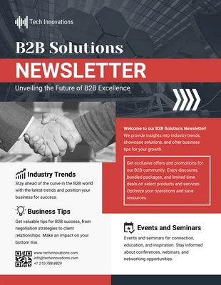 premium  Template: B2B Solutions Newsletter