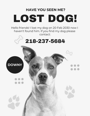 Free  Template: Hellgrauer, schlichter, ästhetischer Flyer mit verlorenem Hund
