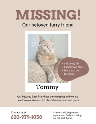 Free  Template: Braunes, weiches, vermisstes Katzen-Poster