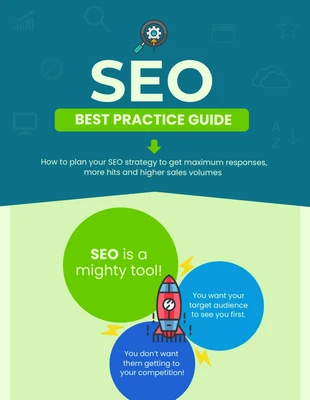 business  Template: SEO Best Practice Guide Infographic Template
