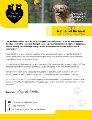 Free  Template: Papier à en-tête blanc et jaune pour une campagne de dons en faveur d'un refuge pour animaux de compagnie