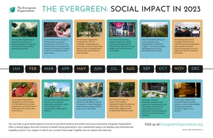 Free  Template: Linha do tempo do impacto social mensal das organizações sem fins lucrativos