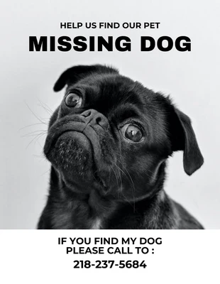 Free  Template: Volante minimalista gris sobre perro desaparecido