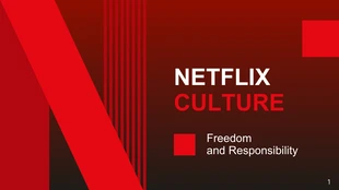 premium  Template: Netflix Pitch Deck