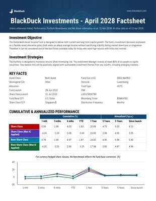 premium  Template: Equity Research Report Template