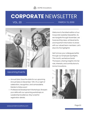 premium  Template: Corporate Updates Newsletter