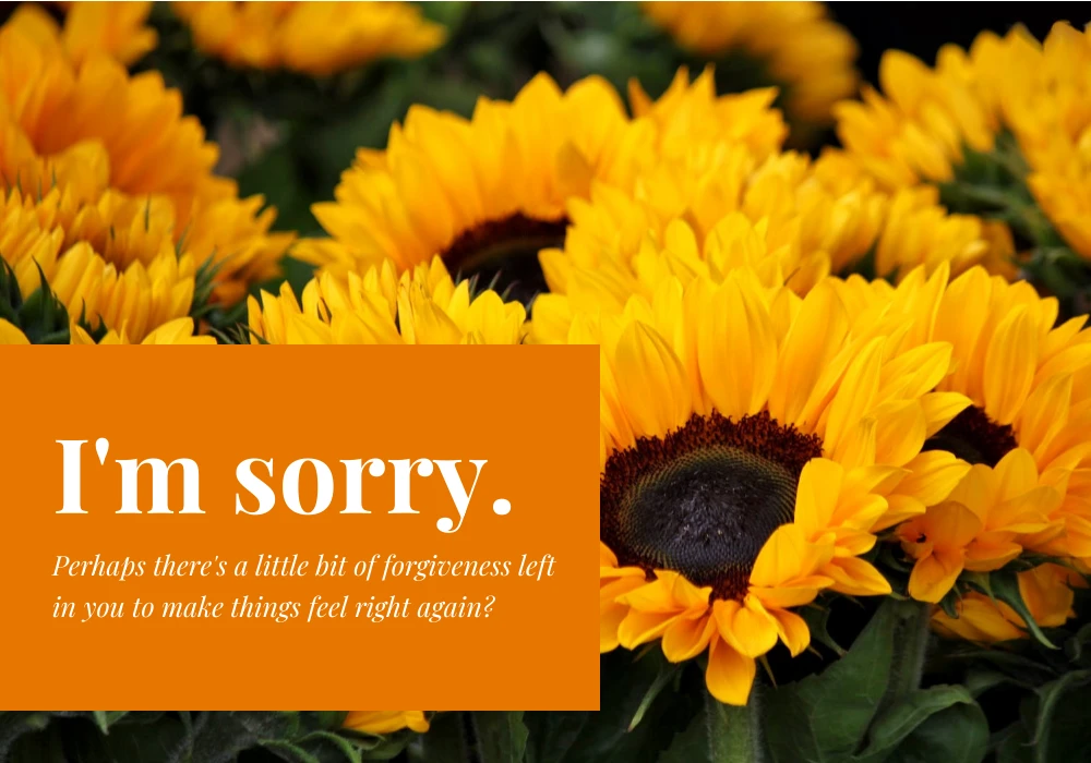 Orange Minimalist Flower Apology Card - Venngage