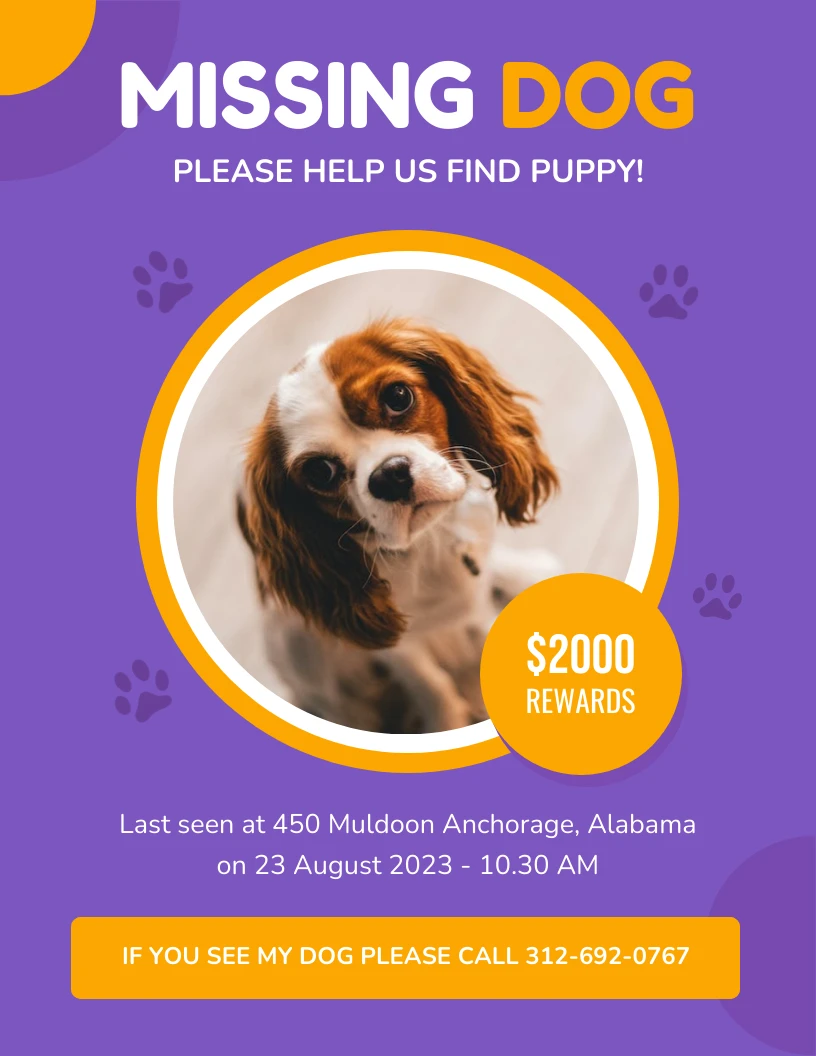 Fuchsia Blue Missing Dog Flyer Template - Venngage