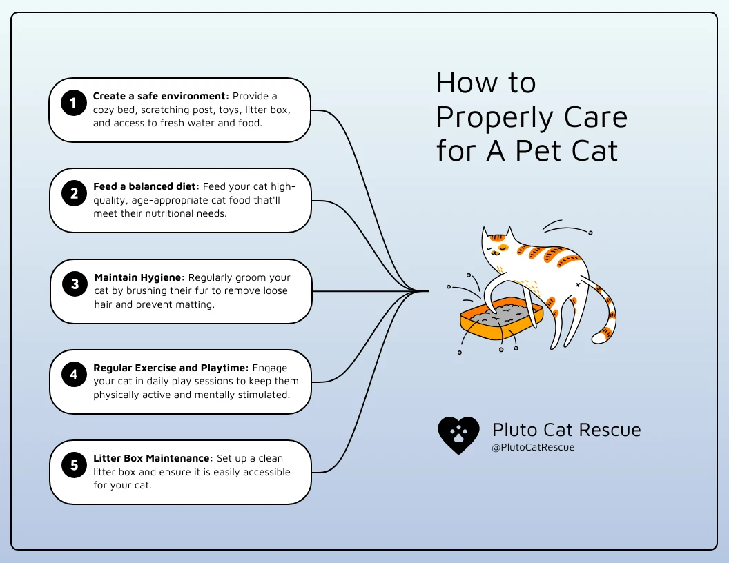 Cat Pet Care Guide Mind Map Template - Venngage