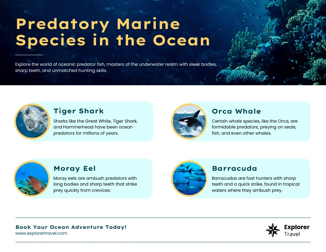 Marine Predators In The Ocean Infographic Venngage