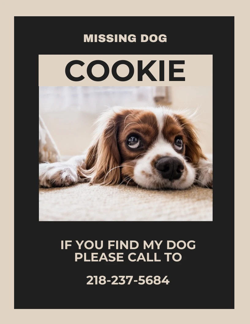 Find my best sale missing dog