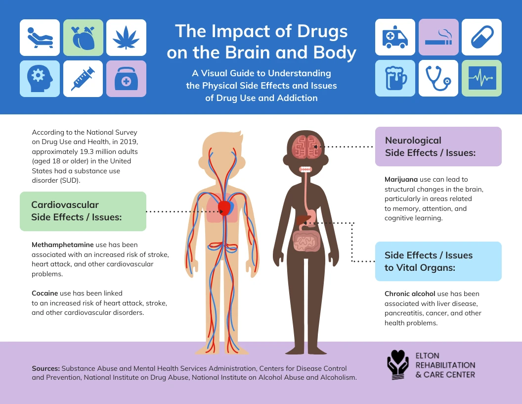 the-impact-of-drugs-on-the-brain-and-body-a-visual-guide-to