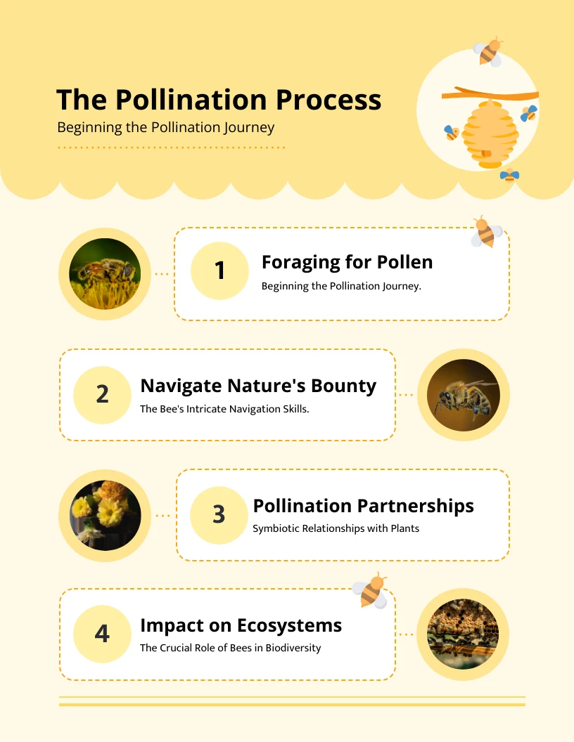 Pollination Process Bee Infographic Template - Venngage