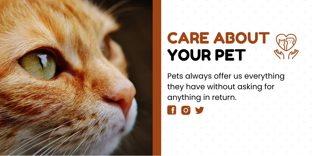 White And Brown Modern Care Pet Animal Twitter Banner - Venngage